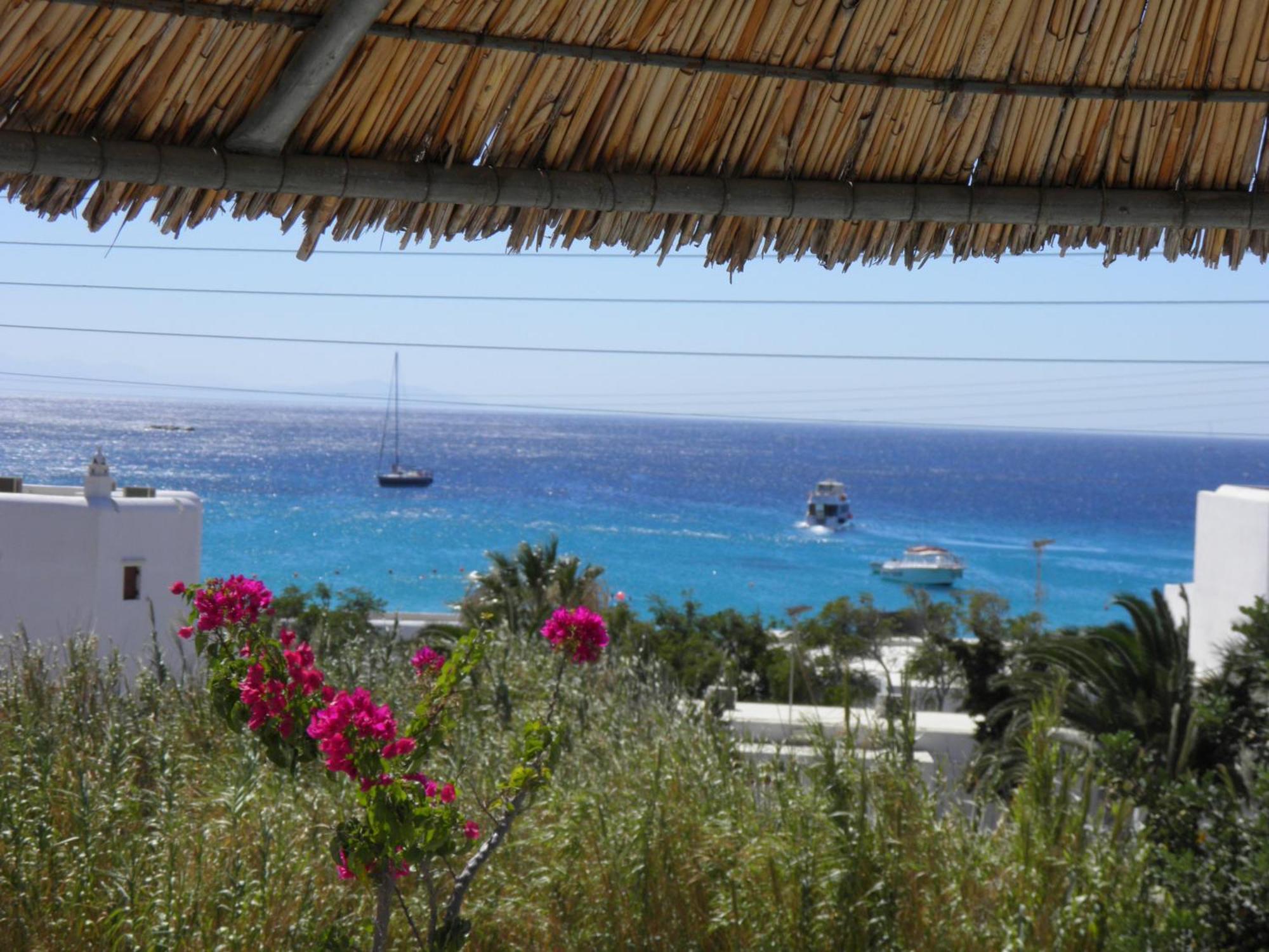 Pelagos Studios Platys Gialos  Dış mekan fotoğraf